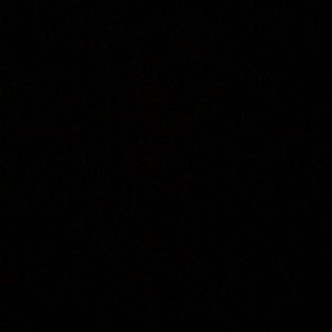 Meet your Posher, Trevor